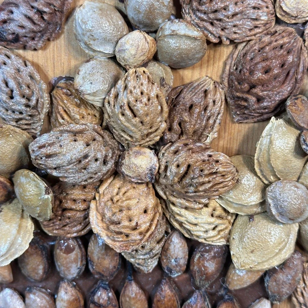 Vintage Handmade Seed Nut Peach Pit 3D Floral Wood Plaque Rustic Decor Whimsical